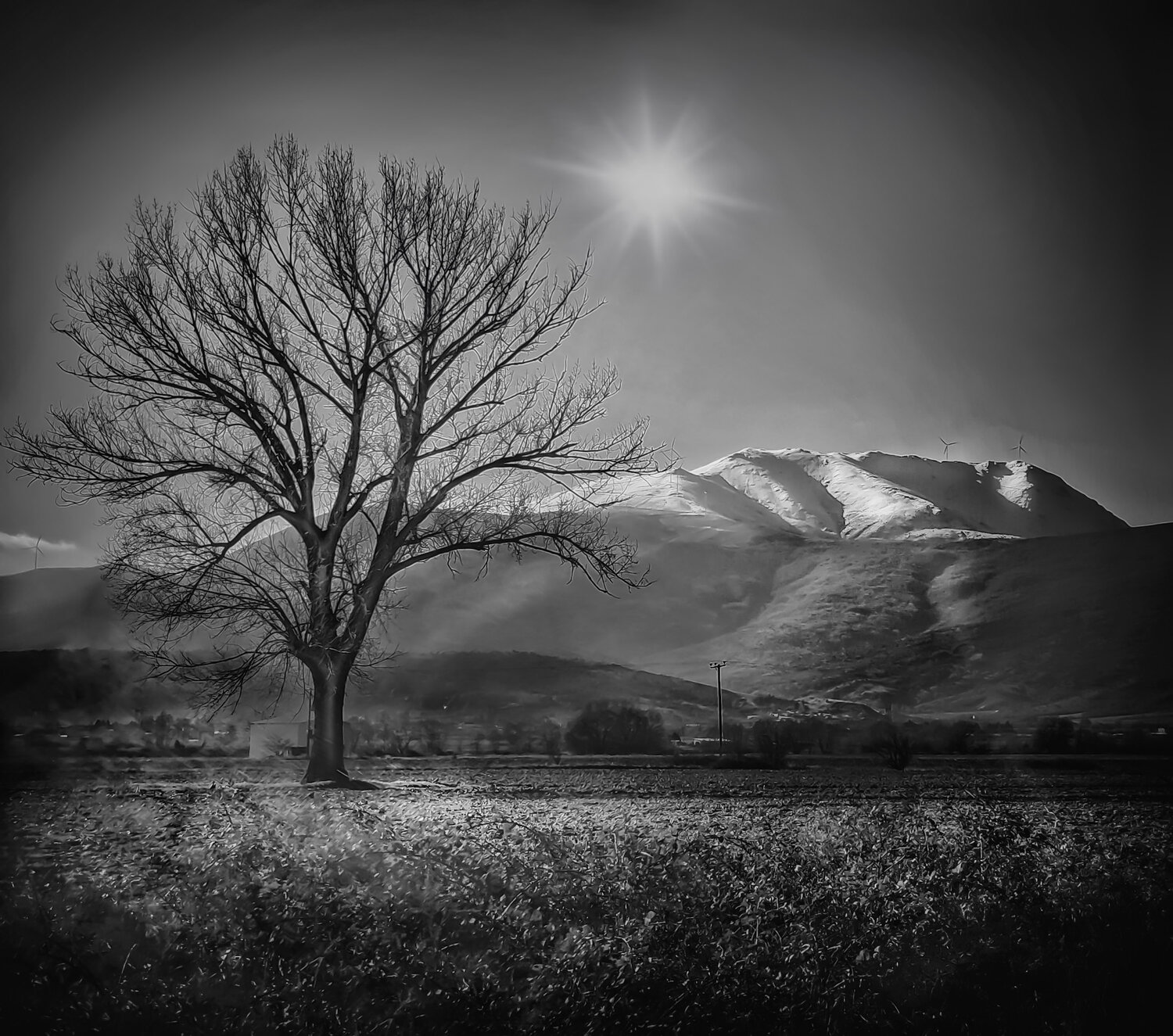 Photo #13111841