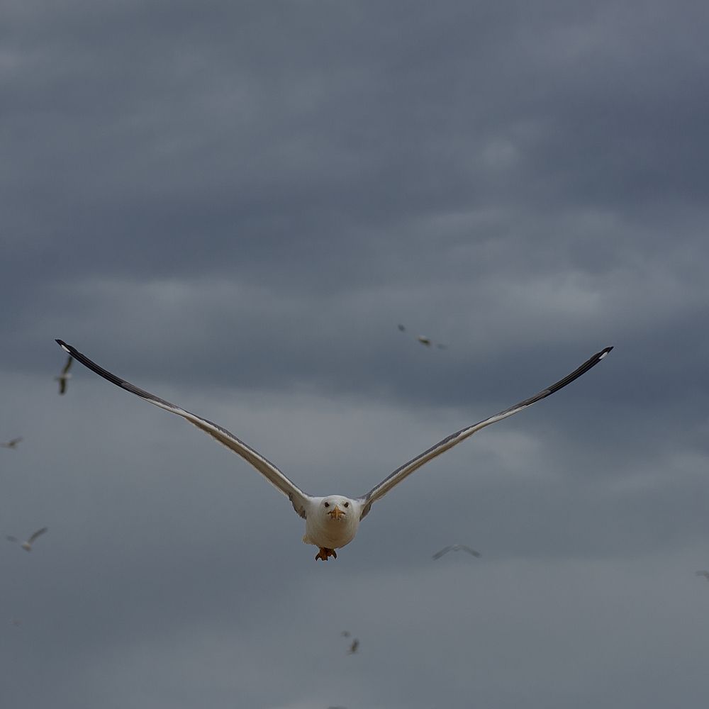 Photograph by Adil Kuandykov