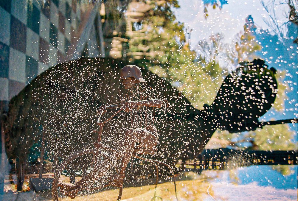 Photograph by Mariela Maragna