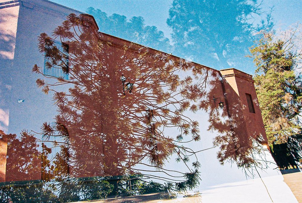 Photograph by Mariela Maragna