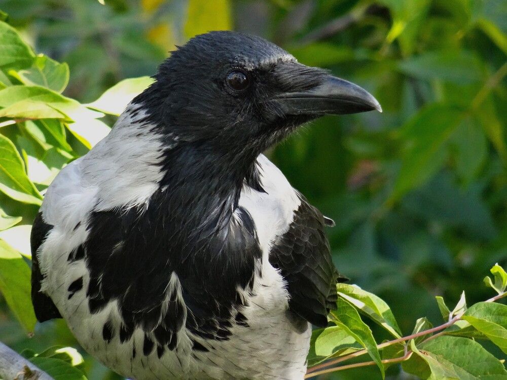 Photograph by Марина Раткун