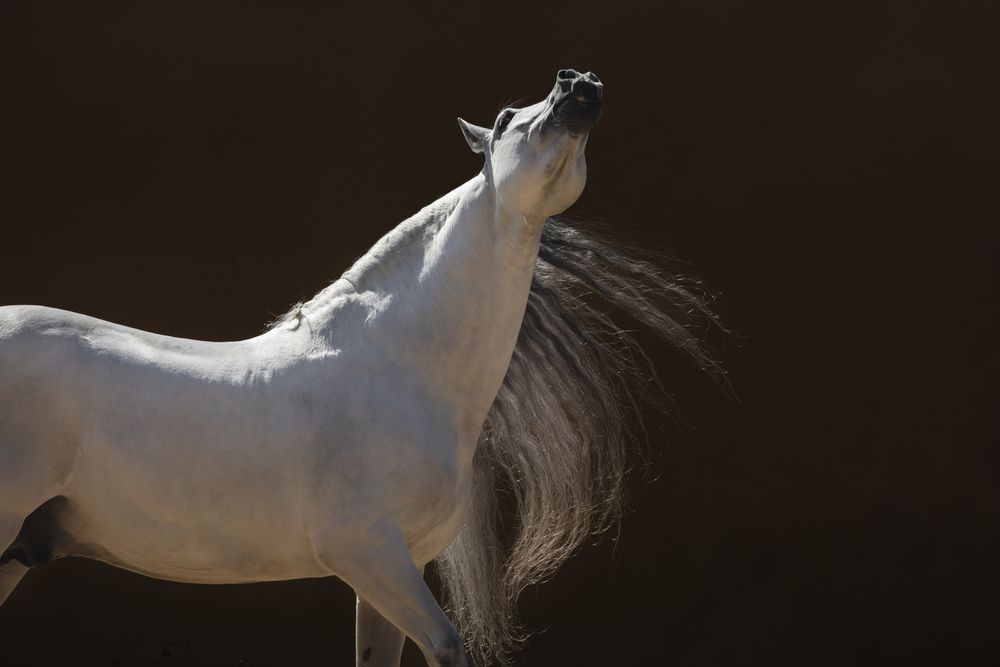 Photograph by Anna Sychowicz