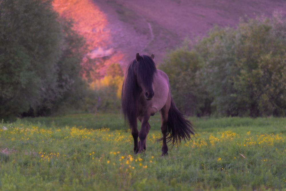 Photograph by Сергей Немцев