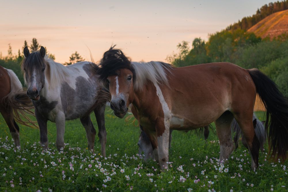Photograph by Сергей Немцев