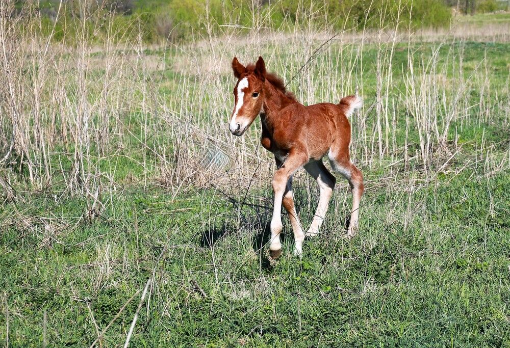 Photograph by Марина Юрченко