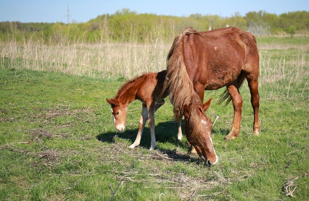 Photograph by Марина Юрченко