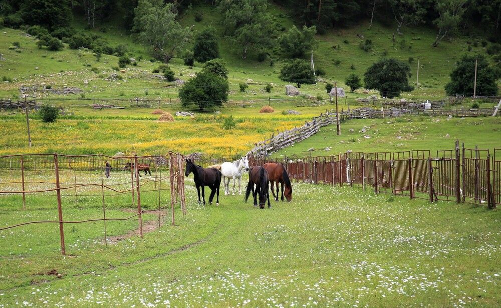 Photograph by Марина Юрченко