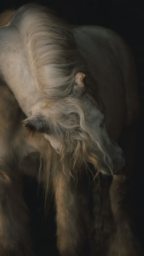 Photograph by Калинина Анна