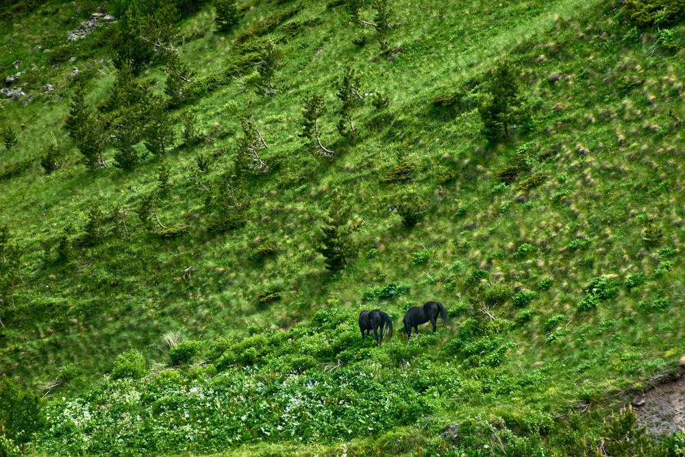 Фотография автора Карпович Максим