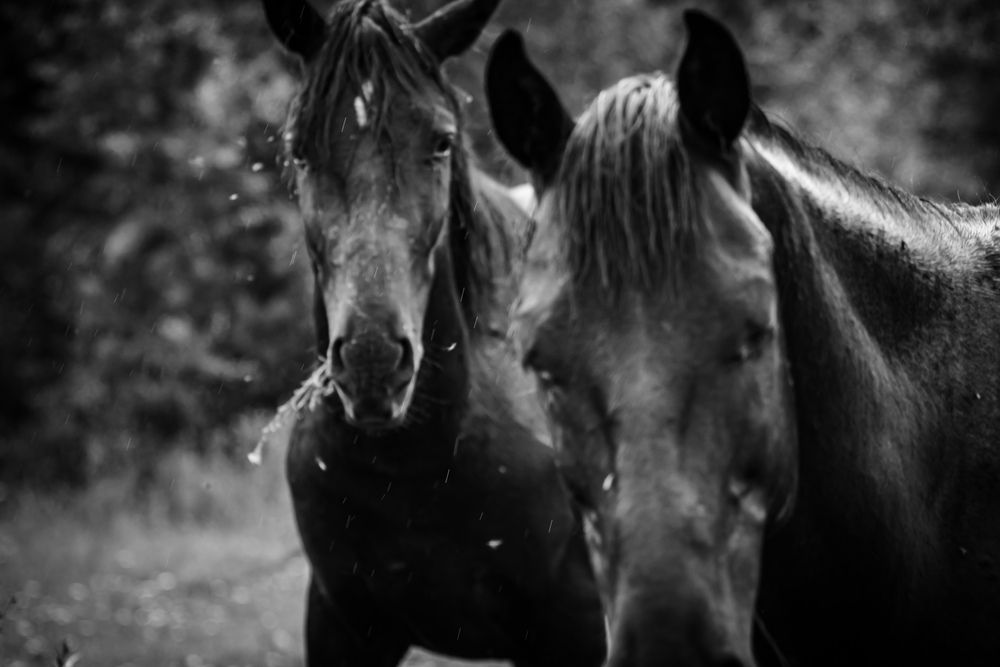 Photograph by Alina Orlova