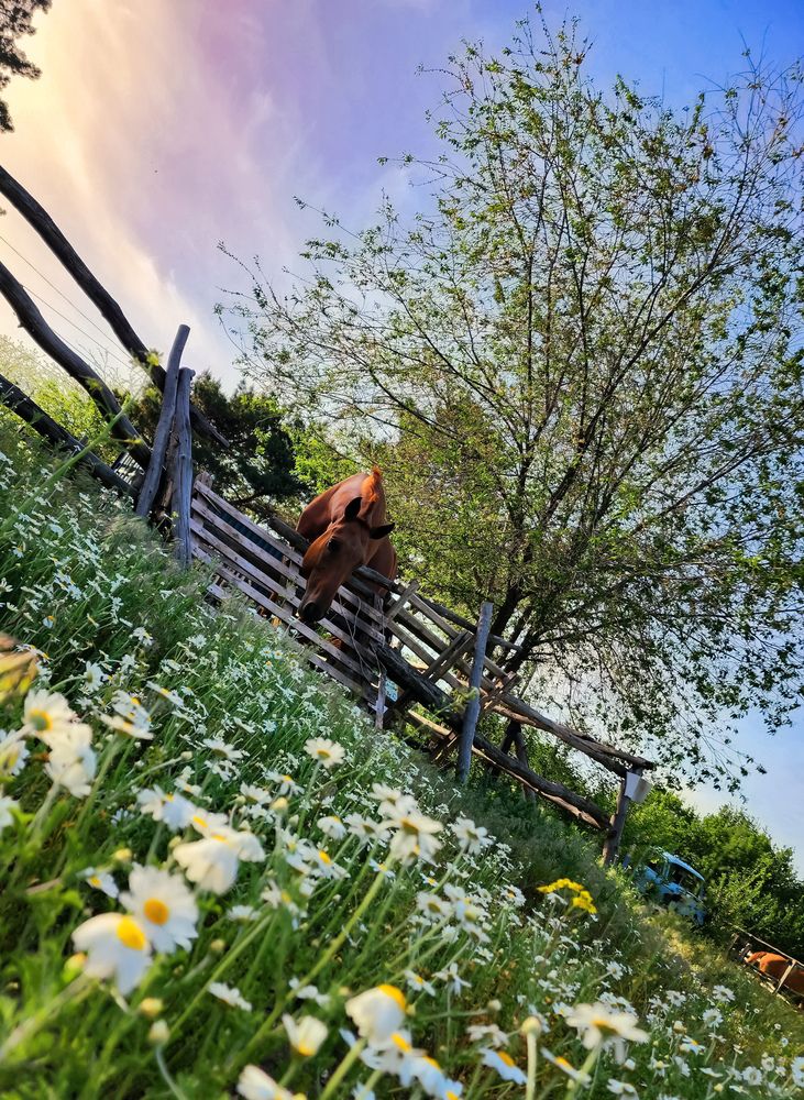 Photograph by Alina Orlova