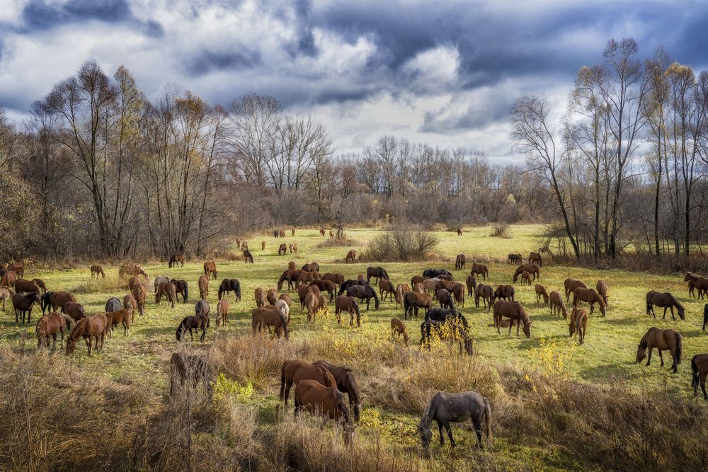 Photograph by Тамара Андреева