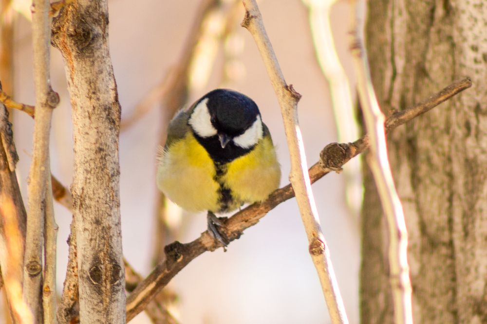 Photograph by Ольга Захарова