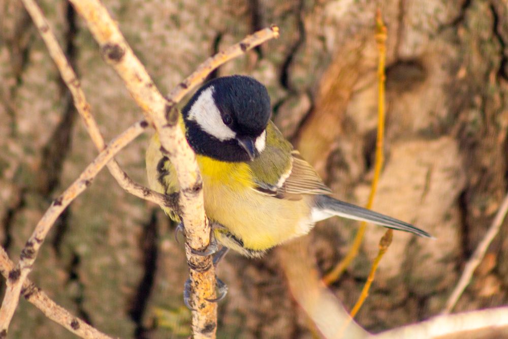 Photograph by Ольга Захарова