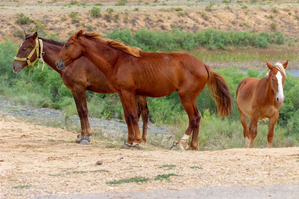 Photograph by Ольга Захарова