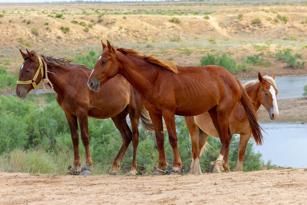 Photograph by Ольга Захарова