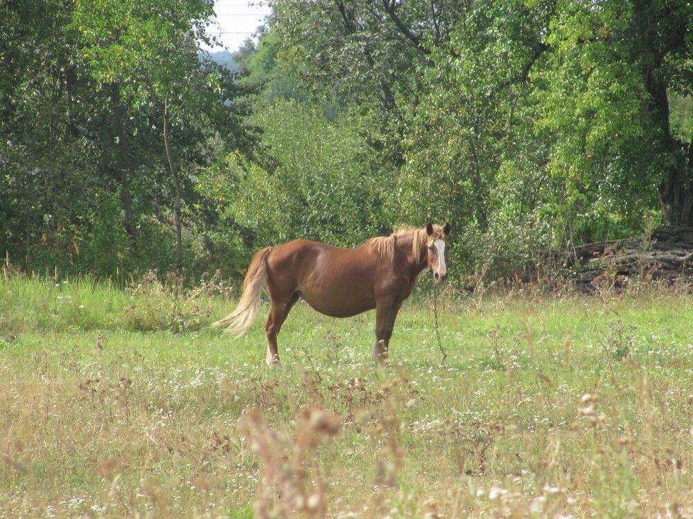 Photograph by Юлия