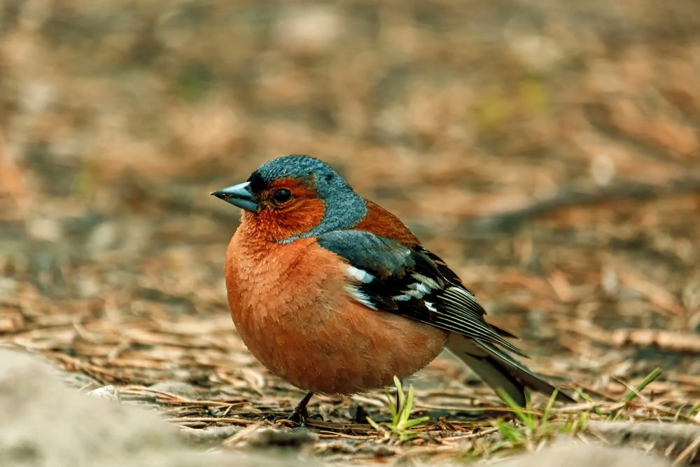 Photograph by Евгений Соколов