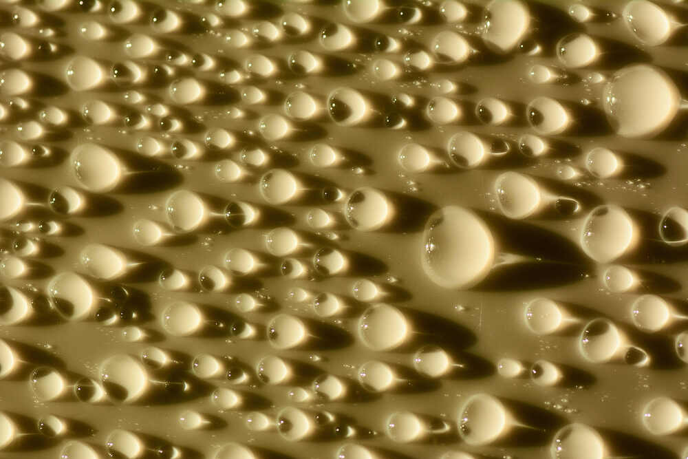 Photograph by Adil Kuandykov