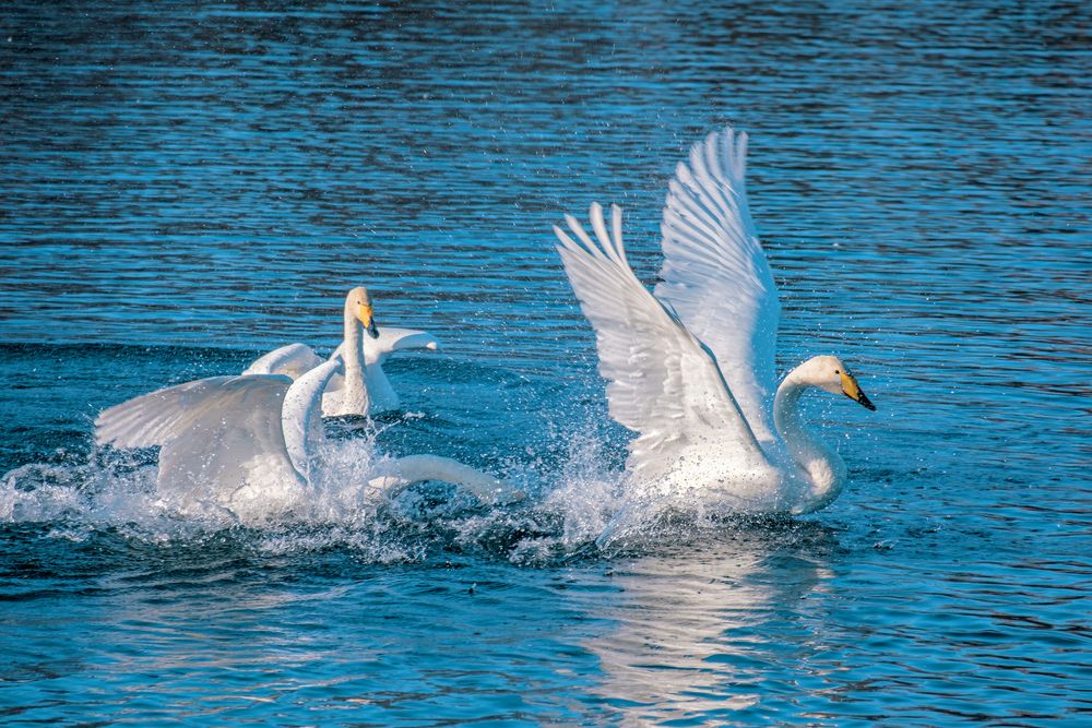 Photograph by Евгений Соколов
