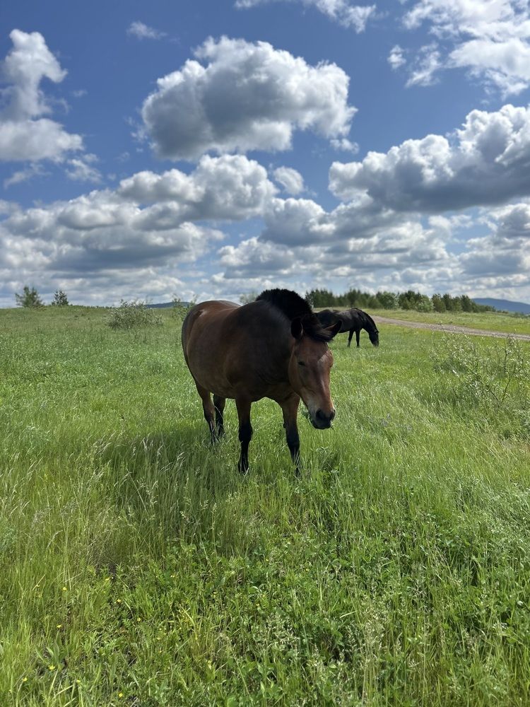 Photograph by Анна Киселева