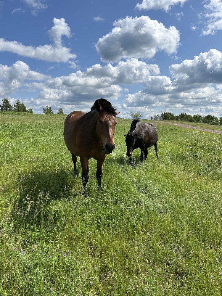 Photograph by Анна Киселева