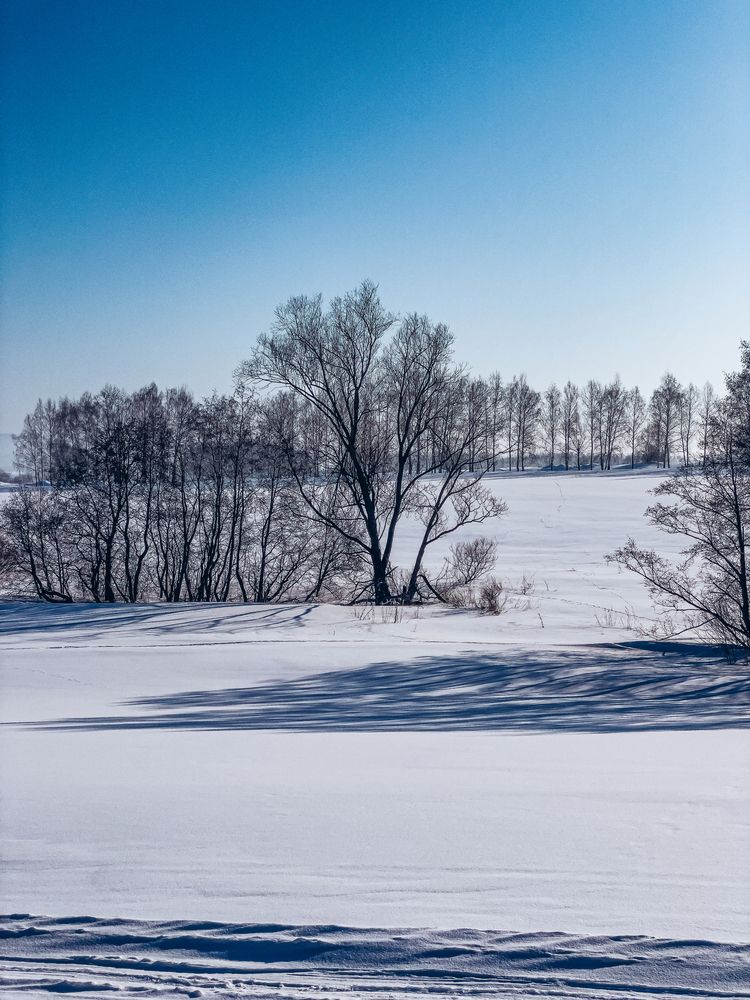 Photograph by Кристина Иванова