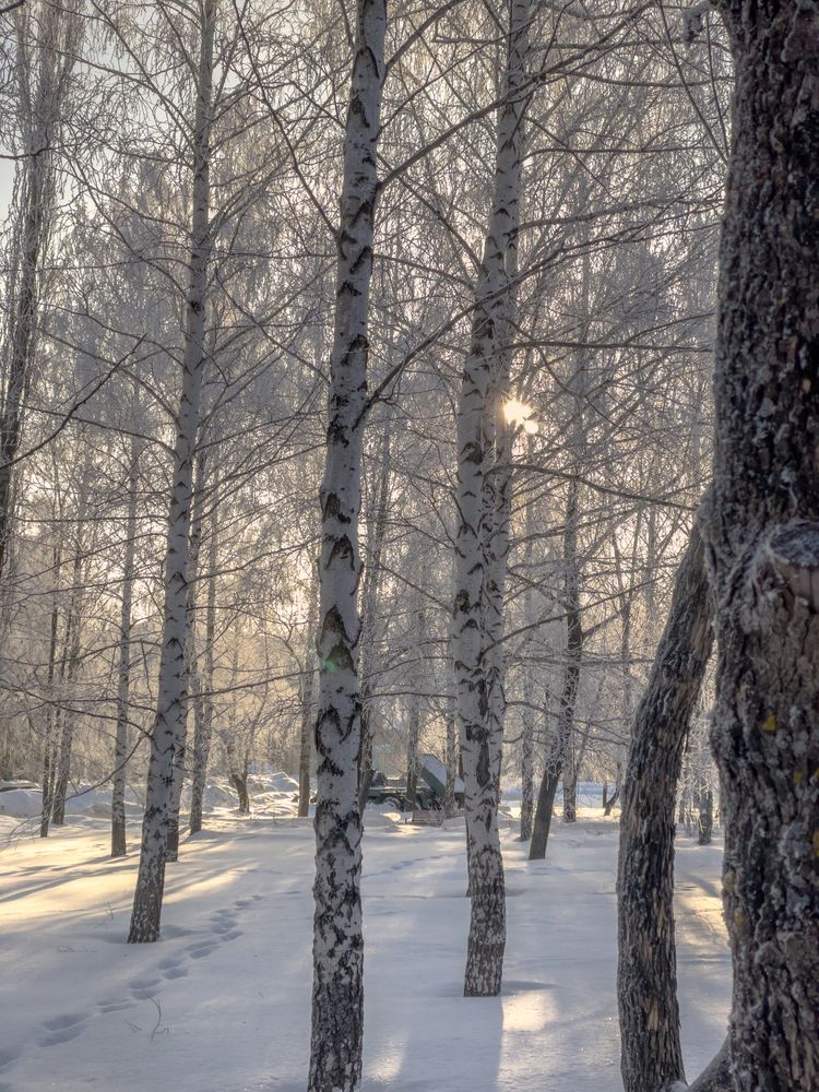 Photograph by Кристина Иванова