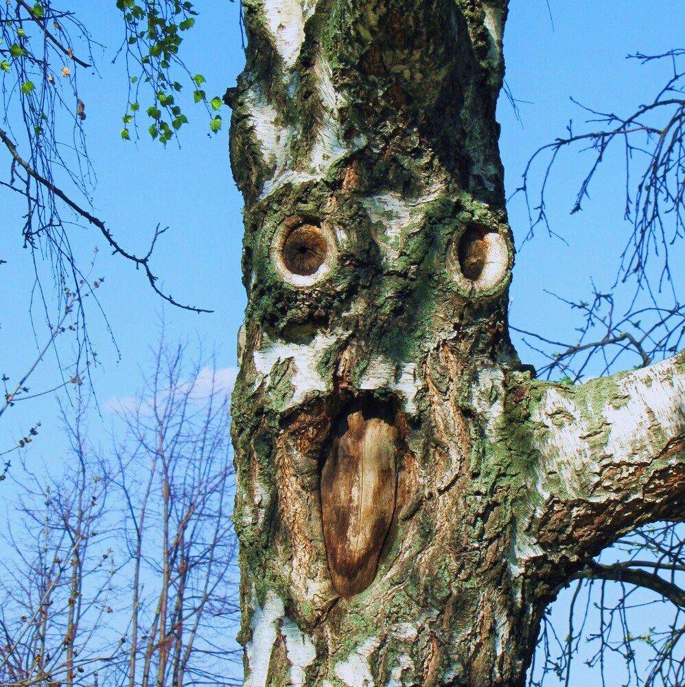 Photograph by Жанна Нечаева