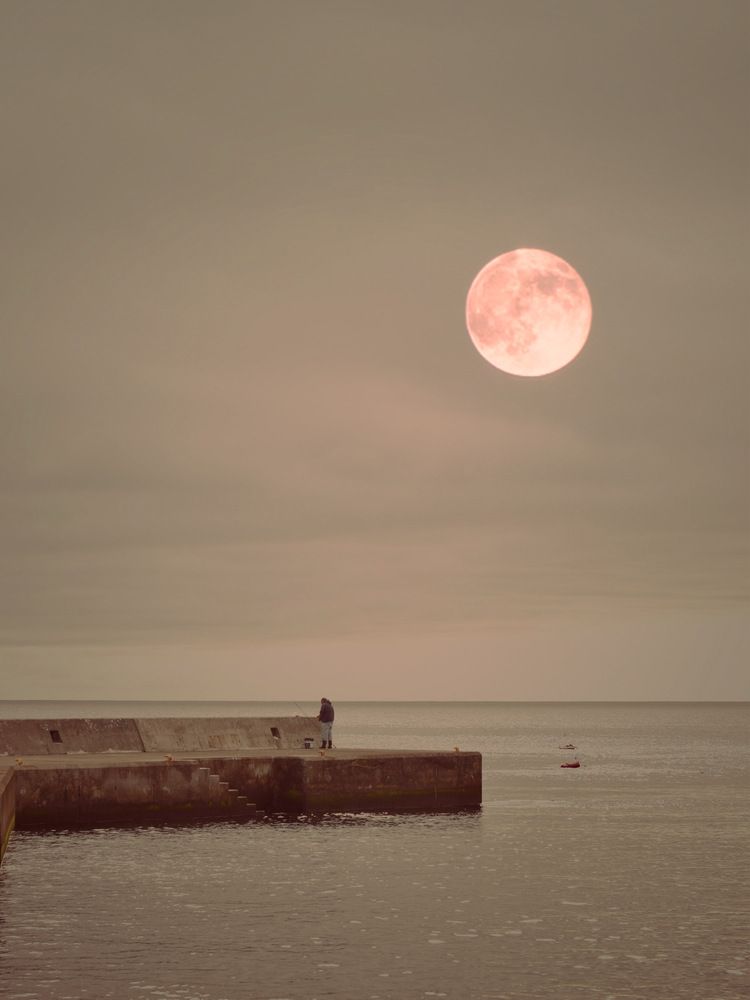 Photograph by Laurénia Rosa