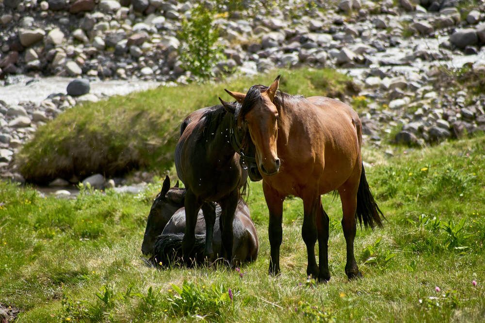 Фотография автора Карпович Максим