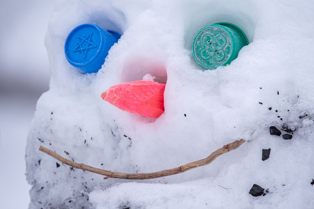 Фотография автора наталья залогина