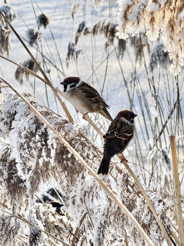 Фотография автора Дмитрий Гусалов