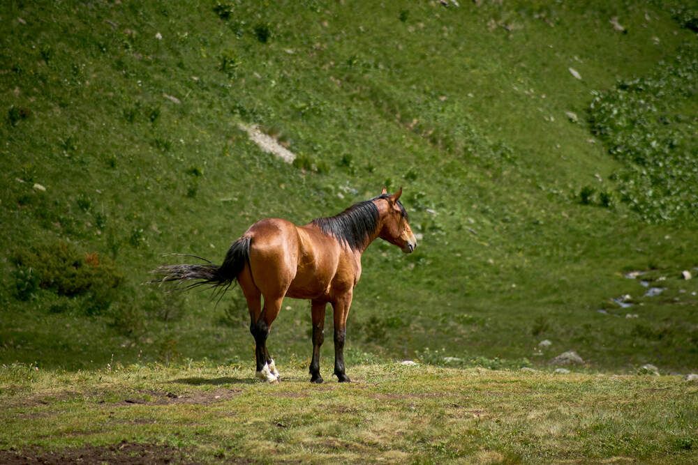 Фотография автора Карпович Максим