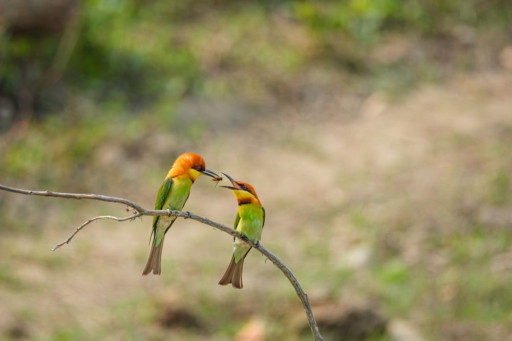 Photograph by Anubhav Gogoi