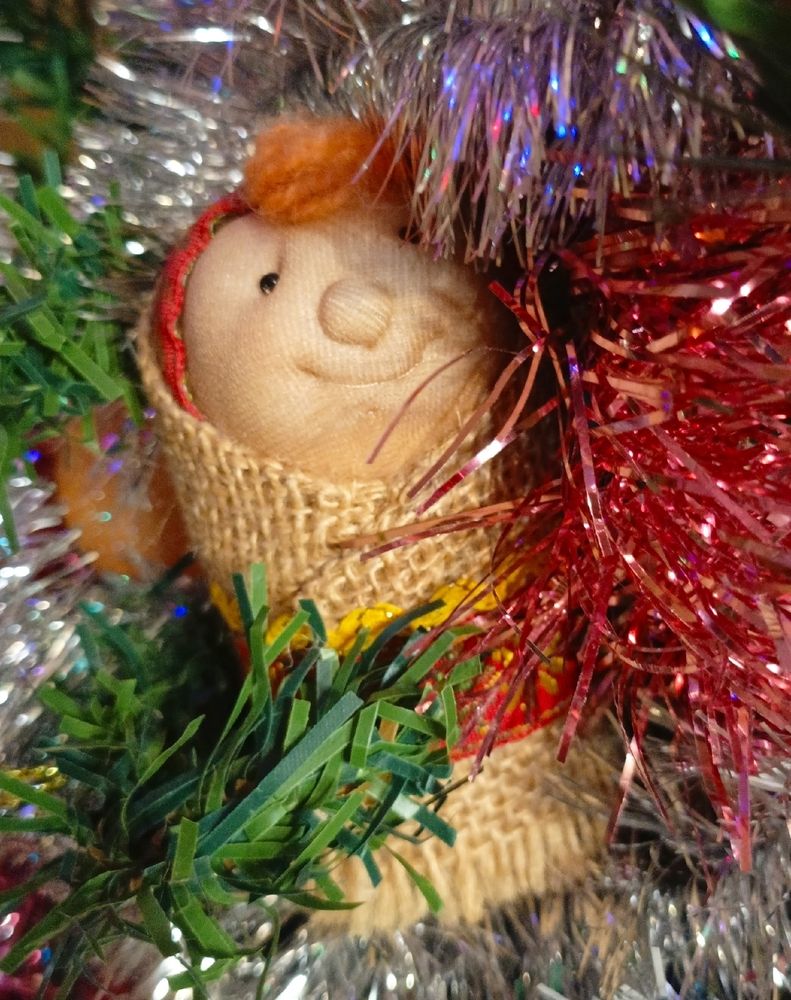 Фотография автора Софья Копейкина