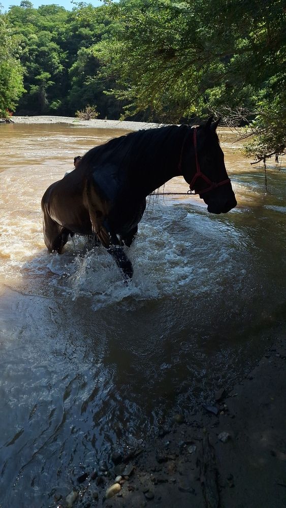 Un refrescante baño