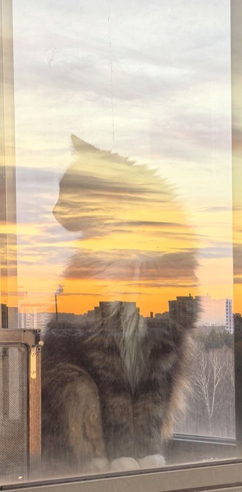 Photograph by Юлия