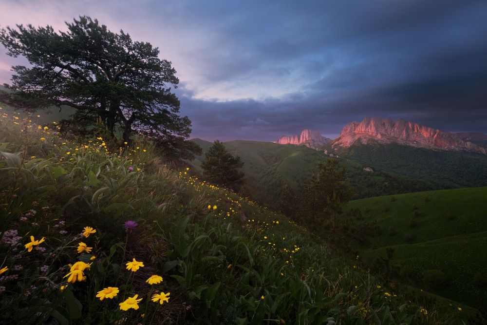 Photograph by Ширгин Сергей