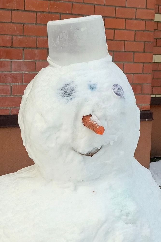 Фотография автора Софья Копейкина