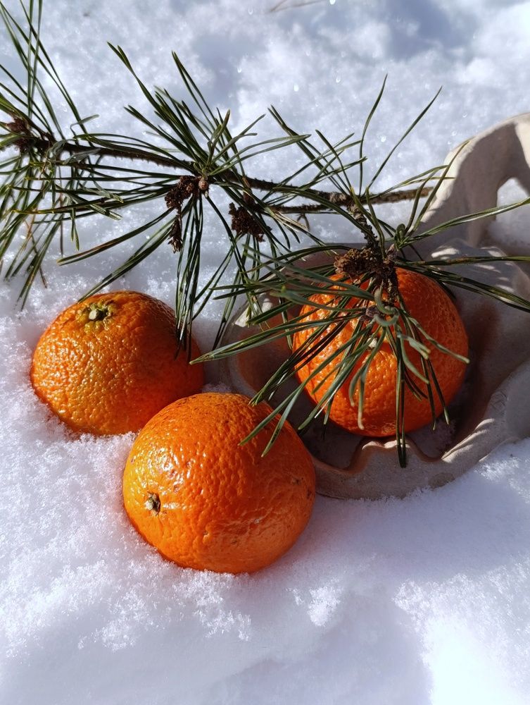 Photograph by Юлия