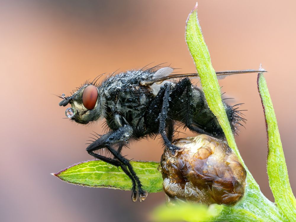 Photograph by Коровко Глеб