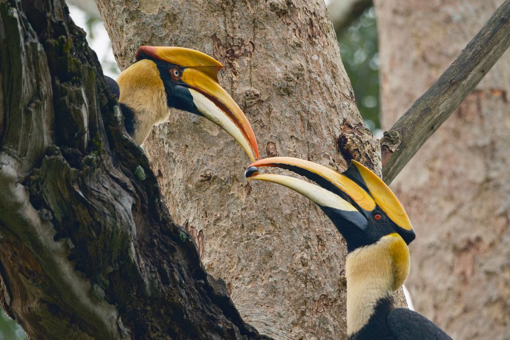 Photograph by Anubhav Gogoi