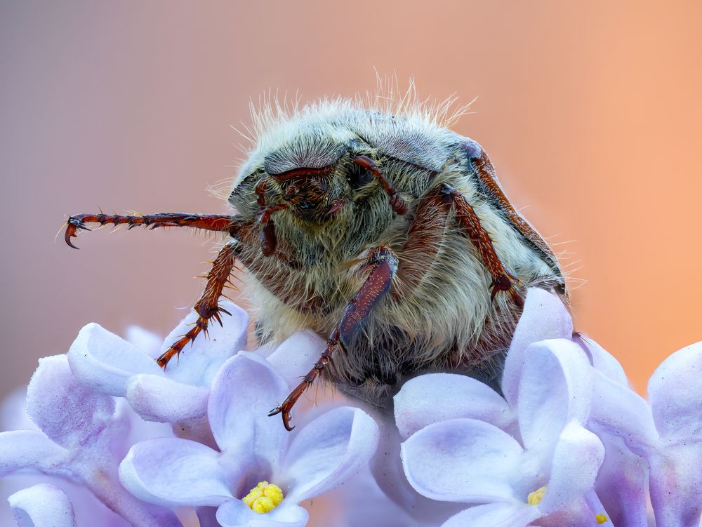 Photograph by Глеб Коровко