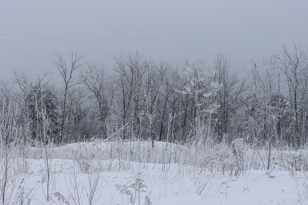 Photograph by Аня Проскурякова