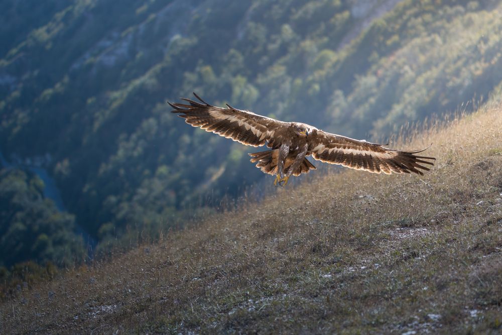 Photograph by Christian Bolognese