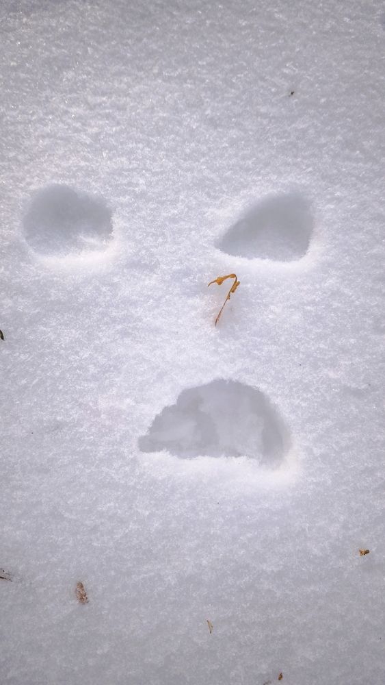 Photograph by Eugenia Blinova