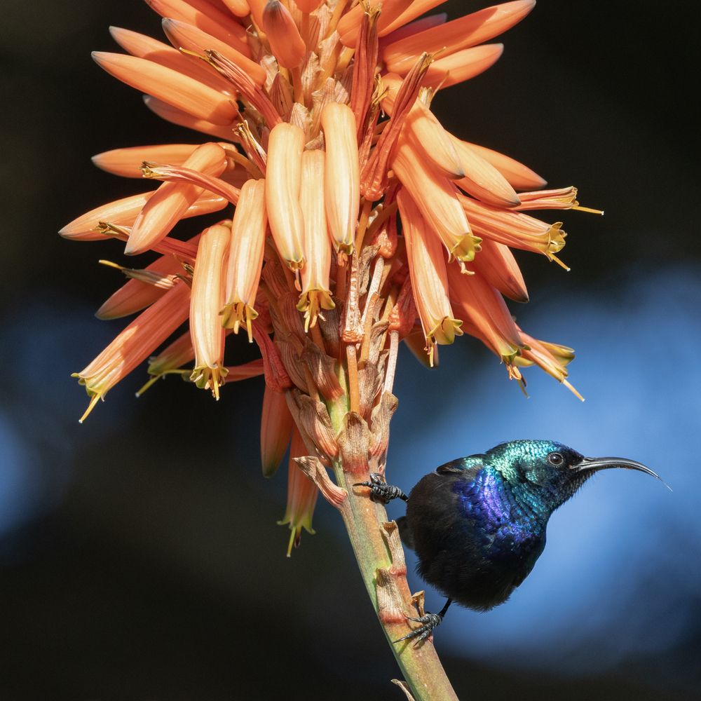 Photograph by pavel chtein