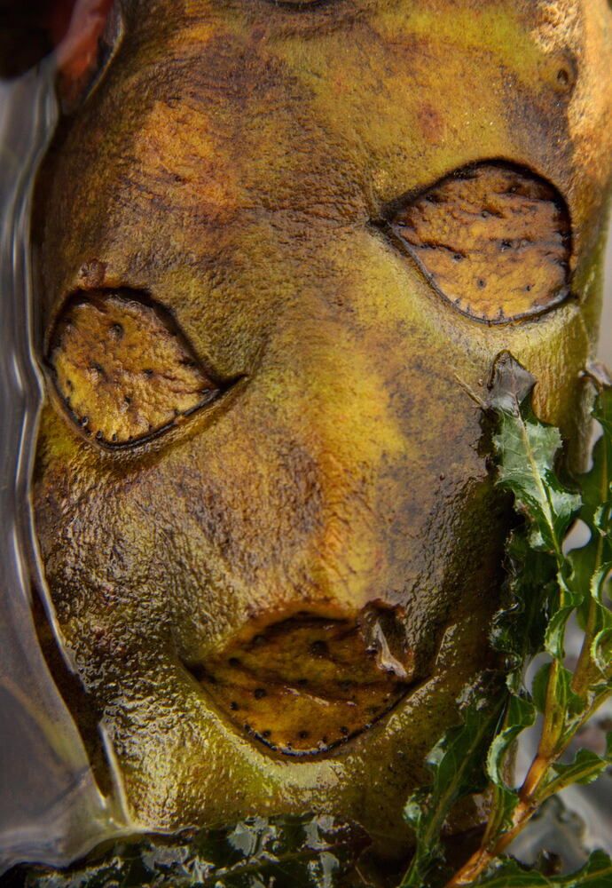 Портрет русалки