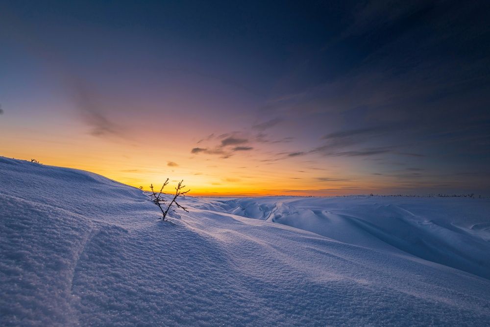 Фотография автора Антон Дроздов